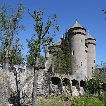 Chateau De Lugagnac Rivière-sur-Tarn エクステリア 写真