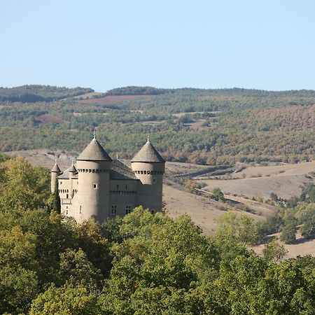 Chateau De Lugagnac Rivière-sur-Tarn エクステリア 写真