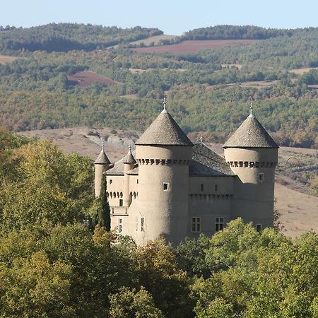 Chateau De Lugagnac Rivière-sur-Tarn エクステリア 写真