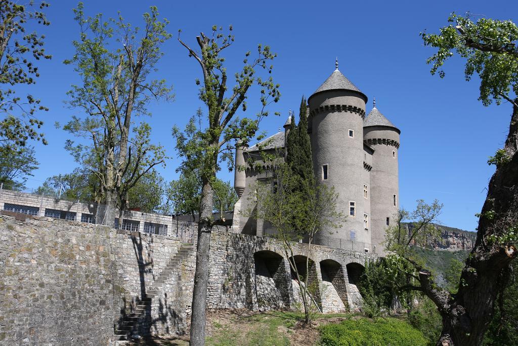 Chateau De Lugagnac Rivière-sur-Tarn エクステリア 写真